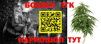 тгк Партизанск