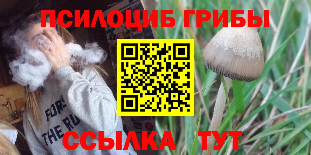 Псилоцибиновые грибы GOLDEN TEACHER  Вход с VPN  Спасск-Дальний 